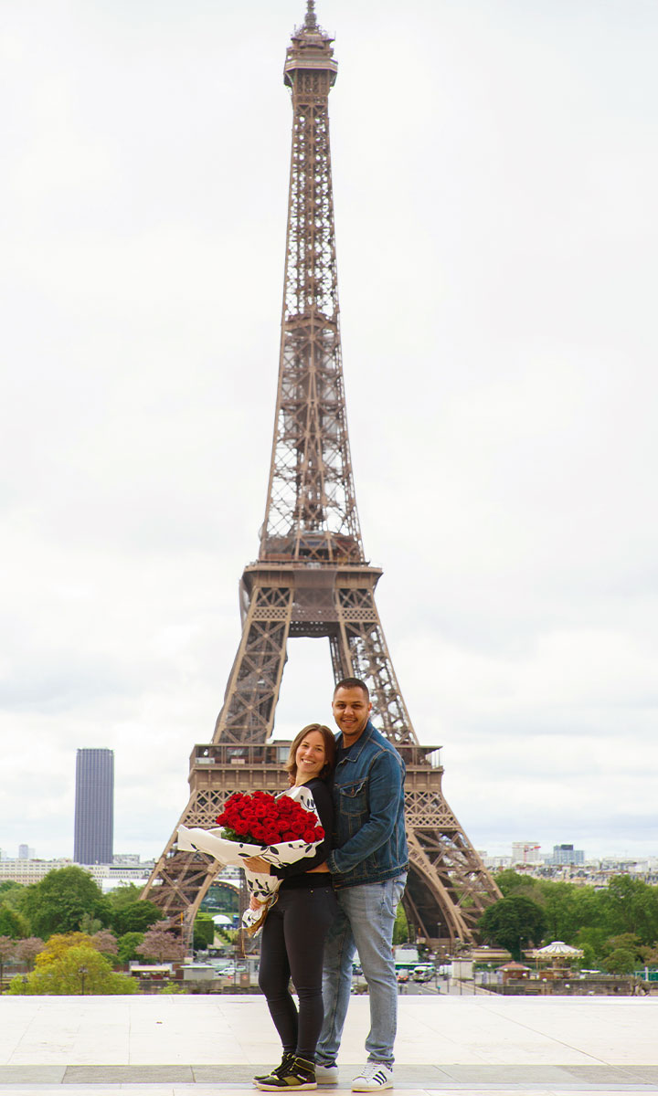 Eiffel Tower proposal