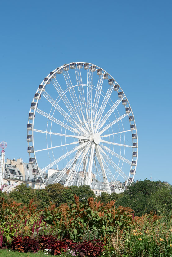 Grande roue Tuileries — exposition classique — cours photo réglage appareil photo Paris