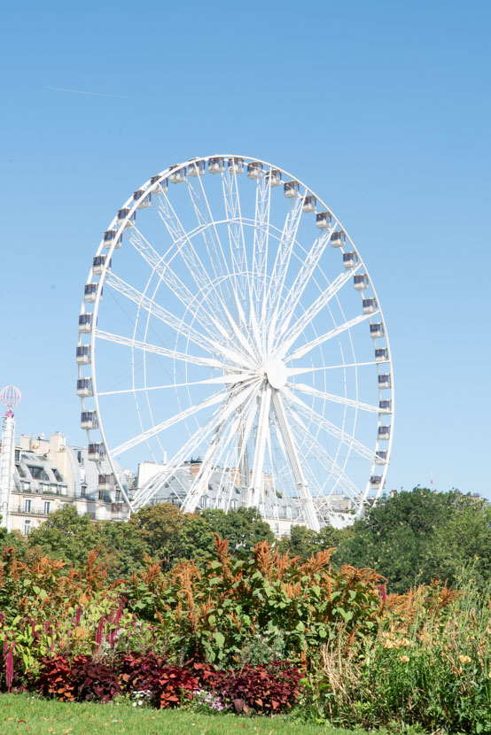 Grande roue Tuileries — pose longue lumineuse — réglage vitesse obturation photo