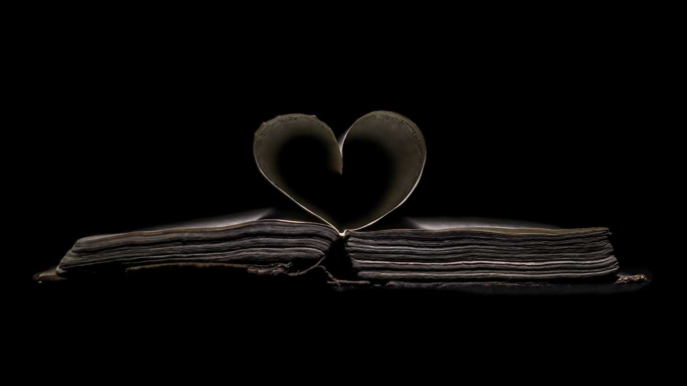 photo discours mariage livre avec les pages en forme de coeur